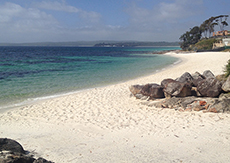 Hyams Beach - Phil Whitehouse