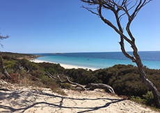 Lincoln National Park - Luke Flitter